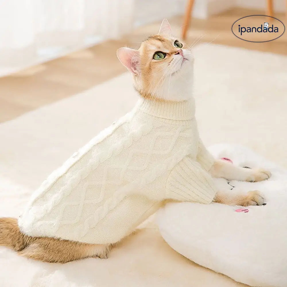 セーター ネコ服 秋冬 子猫 毛が抜けにくい ペット服 ラグドール用 ID2782