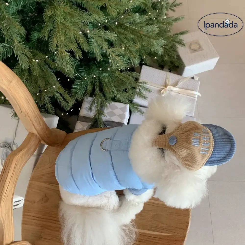 犬 服 暖かい ベスト ハーネス ウェアハーネス 裏ボア 中綿 キルティング 無地 あったか 防寒 犬服 ドッグウェア 秋 冬 洋服 ペット服 可愛い おしゃれ アウター 抜け毛防止 お散歩服 ブルー / XS ペット用品＞ウェア