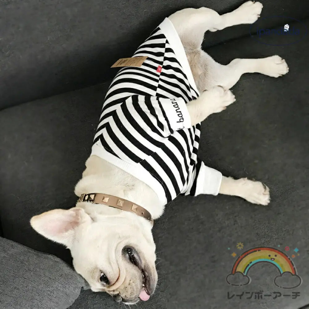 犬服 ペット親子 ペット親子お揃い ペット用品  春秋服 パーカー 長袖 犬服親子 ドッグウェア お出かけに ワンチャン服 中小型犬 ご主人様用 親子服 秋冬服 ペット服 猫服親子 パーカー ペットとお揃い ペットペアルック ボーダー お出かけ お散歩 S～4XL ママフリ ID2376