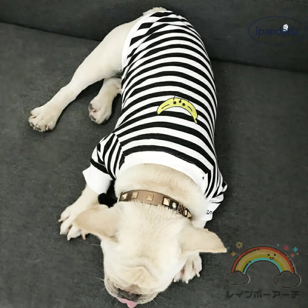 犬服 ペット親子 ペット親子お揃い ペット用品  春秋服 パーカー 長袖 犬服親子 ドッグウェア お出かけに ワンチャン服 中小型犬 ご主人様用 親子服 秋冬服 ペット服 猫服親子 パーカー ペットとお揃い ペットペアルック ボーダー お出かけ お散歩 S～4XL ママフリ ID2376