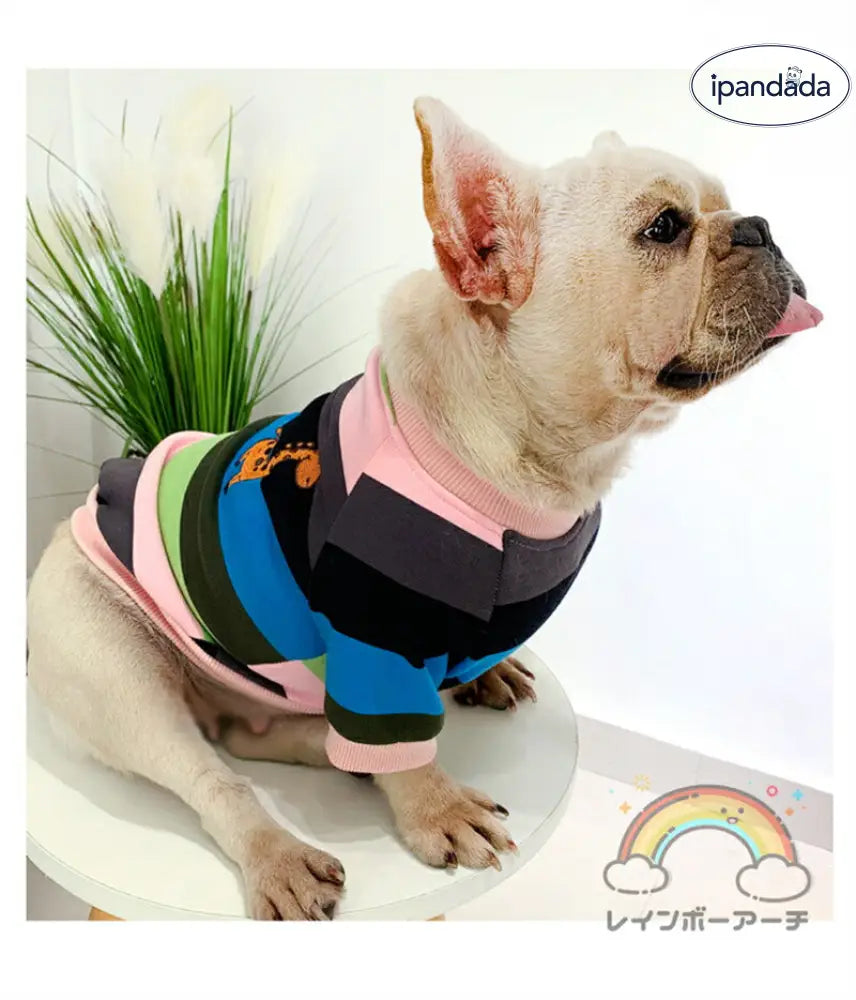 犬服 ペット親子 ペット親子お揃い ペット用品  春秋服 パーカー 長袖 犬服親子 ドッグウェア お出かけに ワンチャン服 中小型犬 ご主人様用 親子服 秋冬服 ペット服 猫服親子 パーカー ペットとお揃い ペットペアルック ボーダー お出かけ お散歩 S～4XL ママフリ ID2374