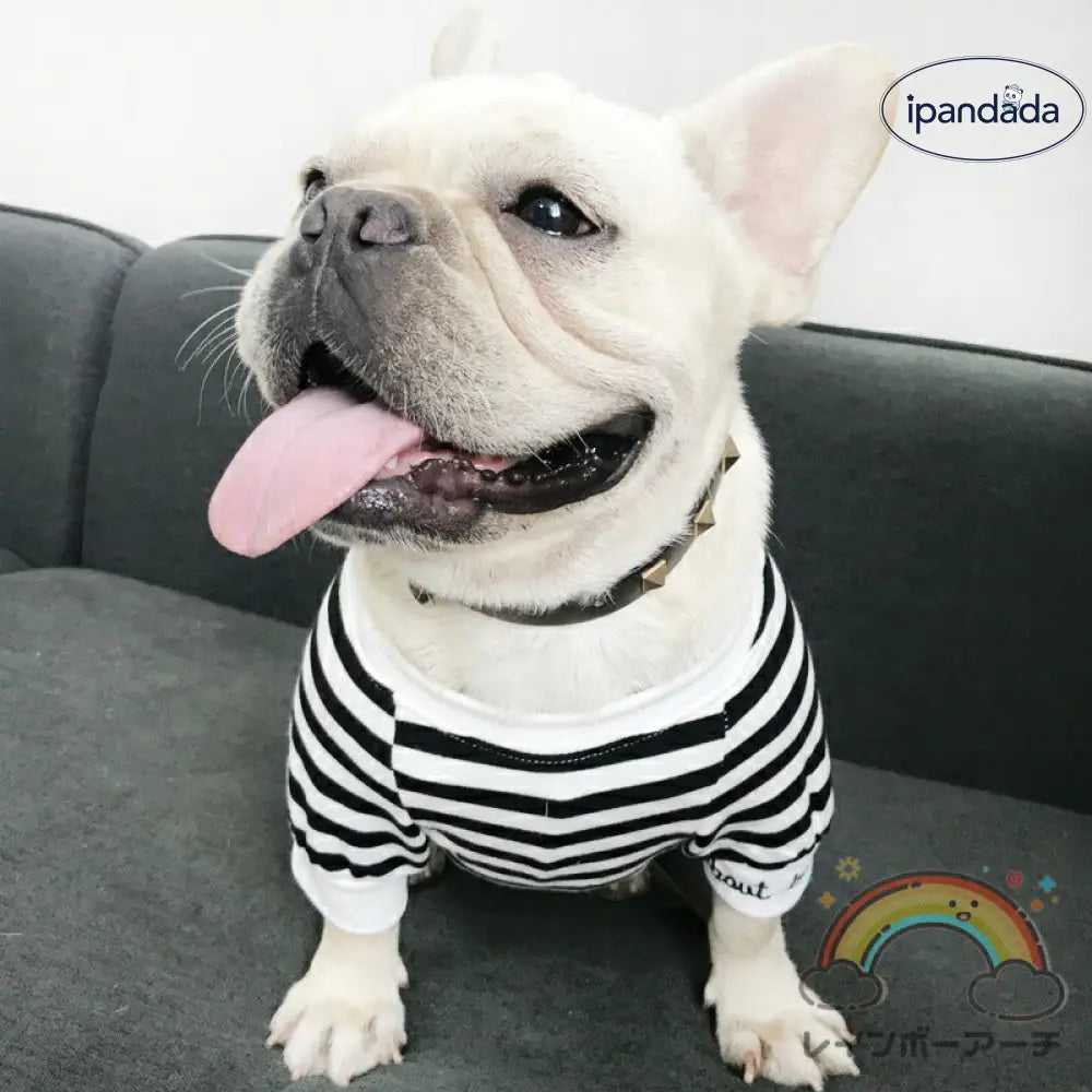 犬服 ペット親子 ペット親子お揃い ペット用品  春秋服 パーカー 長袖 犬服親子 ドッグウェア お出かけに ワンチャン服 中小型犬 ご主人様用 親子服 秋冬服 ペット服 猫服親子 パーカー ペットとお揃い ペットペアルック ボーダー お出かけ お散歩 S～4XL ママフリ ID2376