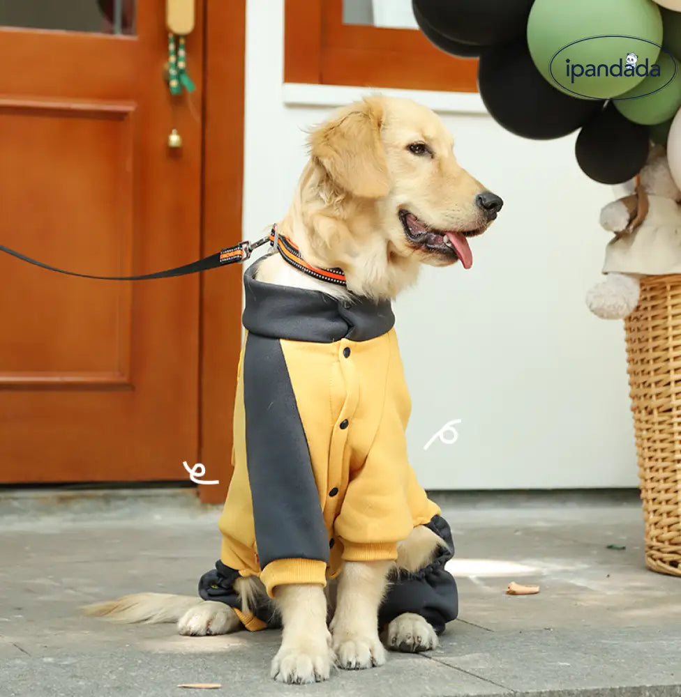 犬服 秋冬 ゴールデンレトリバー 中型 大型犬 ペット 春秋用 大型犬 ラブラドール フルボディ セーター 冬用 ID2871