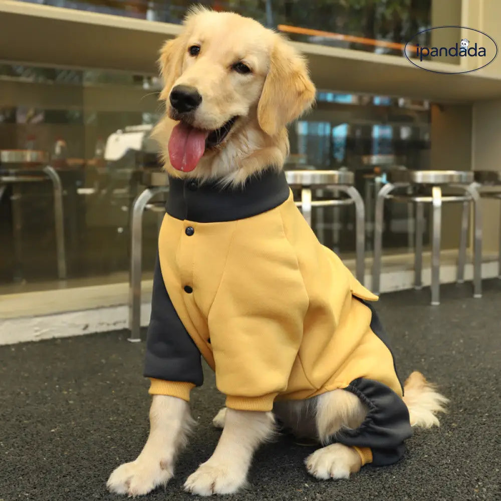 犬服 秋冬 ゴールデンレトリバー 中型 大型犬 ペット 春秋用 大型犬 ラブラドール フルボディ セーター 冬用 ID2871