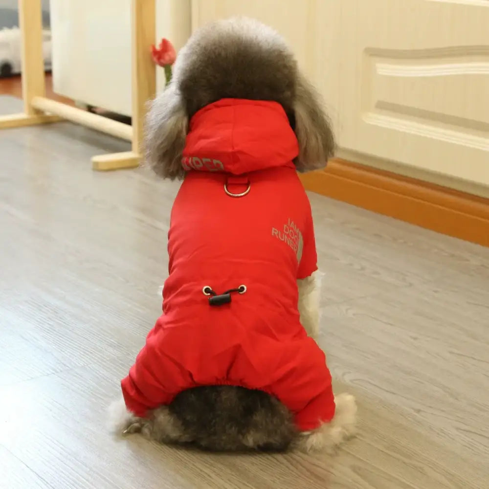 犬用 冬季 防水 スポーツ 四脚 コットン ペット用 秋冬 新作 ビション テディ 服 ID3229 レッド / S