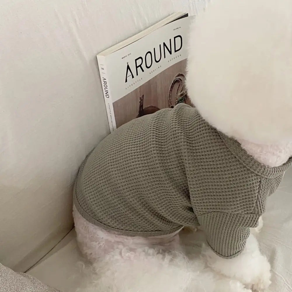 犬 服 秋冬用 犬服 韓国風 ペット トレーナー インナー シャツ テディ ポメラニアン用 2足衣 ペットウェア ID3804 グリーン / XS ペット用品＞ウェア