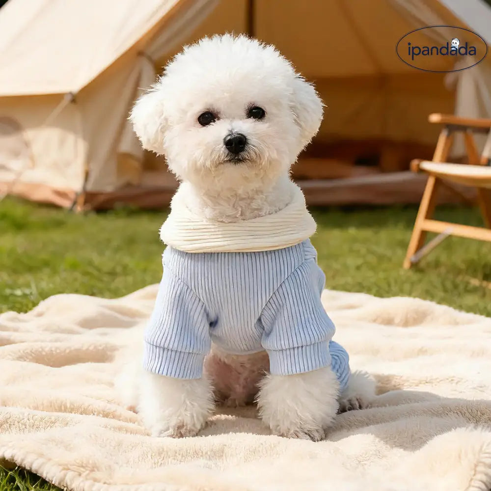 ペット 秋冬 小型犬 ハッピー ドッグ キャット 保温 可愛い 耳 付き 雲 デザイン 四足 ウェア ID3516
