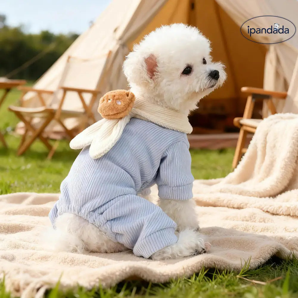 ペット 秋冬 小型犬 ハッピー ドッグ キャット 保温 可愛い 耳 付き 雲 デザイン 四足 ウェア ID3516