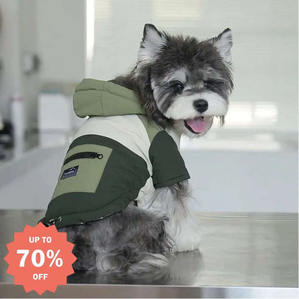 犬 服 犬服 犬の服 ペット 秋冬用 カラーブロック ポケット フード付き ジャケット 蓄熱 牽引可能 防風 2足 犬服 ぺット 犬 クリスマスプレゼント ID3173 ペット用品＞ウェア