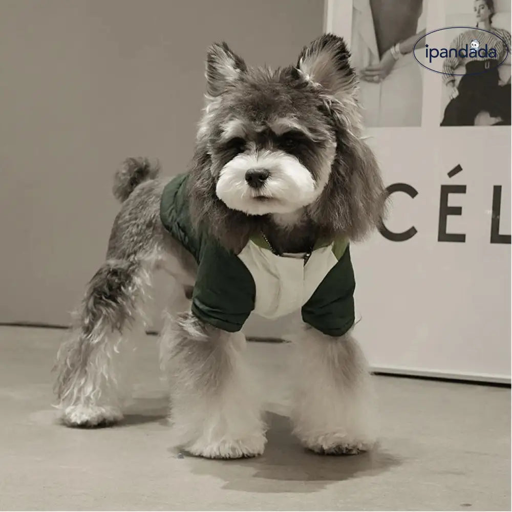 犬 服 犬服 犬の服 ペット 秋冬用 カラーブロック ポケット フード付き ジャケット 蓄熱 牽引可能 防風 2足 犬服 ぺット 犬 クリスマスプレゼント ID3173 ペット用品＞ウェア