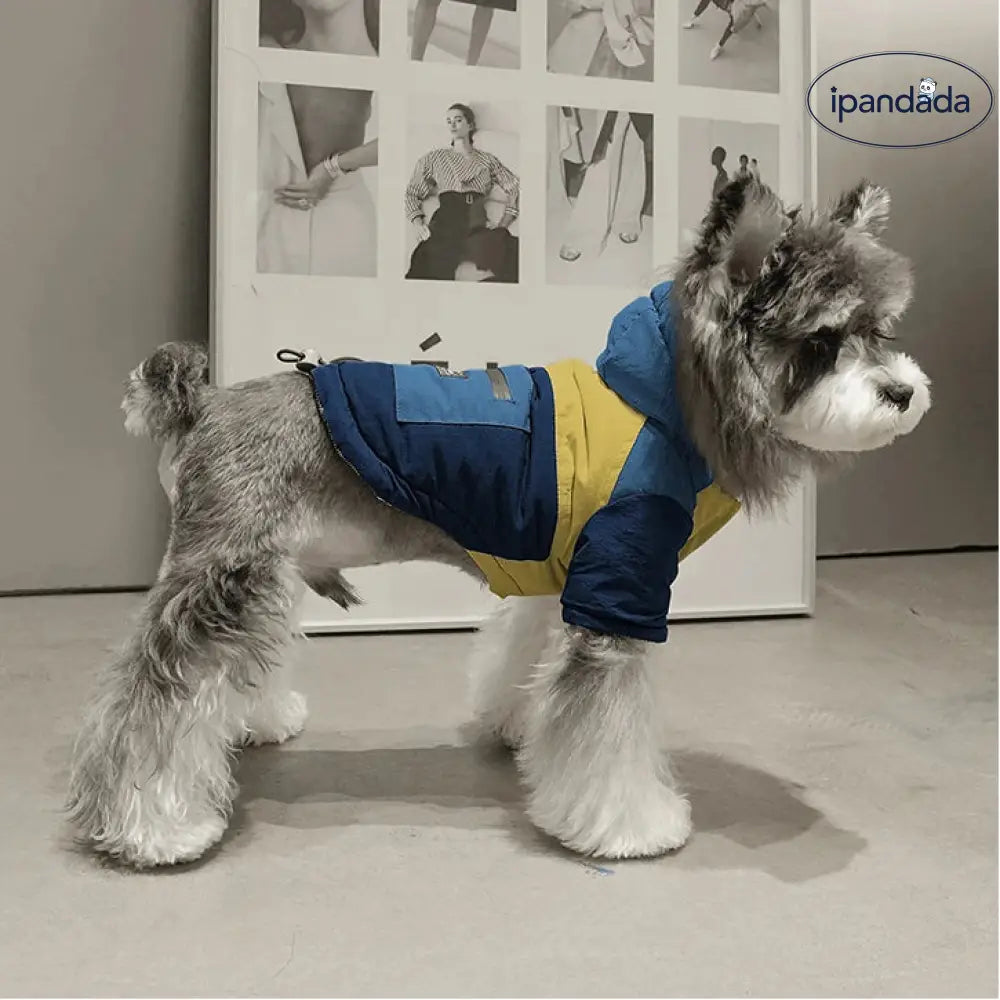 犬 服 犬服 犬の服 ペット 秋冬用 カラーブロック ポケット フード付き ジャケット 蓄熱 牽引可能 防風 2足 犬服 ぺット 犬 クリスマスプレゼント ID3173 ペット用品＞ウェア