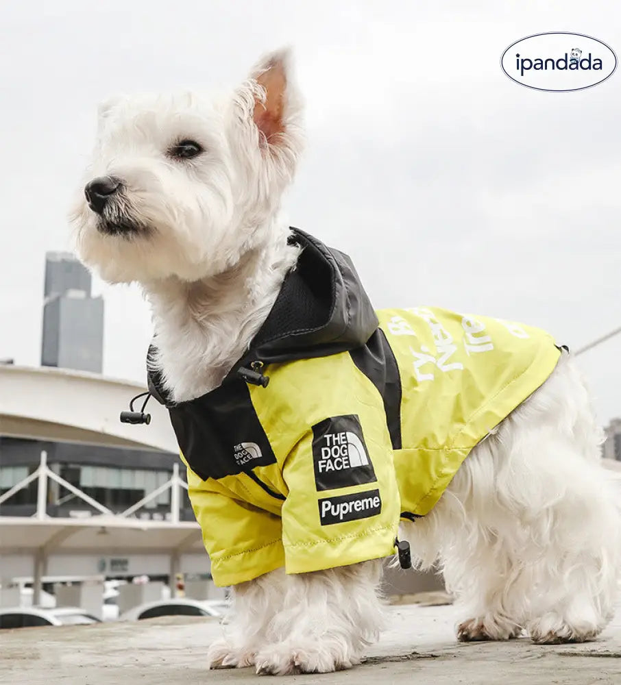 犬 服 犬服 犬の服 ペット用 防水 フード付き ダウンジャケット ペット 保温 ジャンパー 大中小型犬用 アウトドア 犬服 ID3724 ペット用品＞ウェア