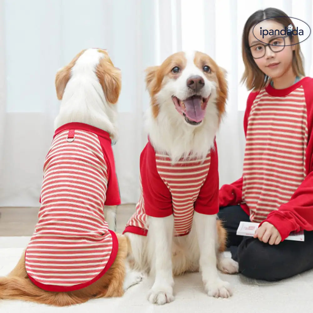 ペットウェア ストライプ 大型犬 新品 猫服 犬用品 フレンチブルドッグ インナーウェア コーギー ID3935