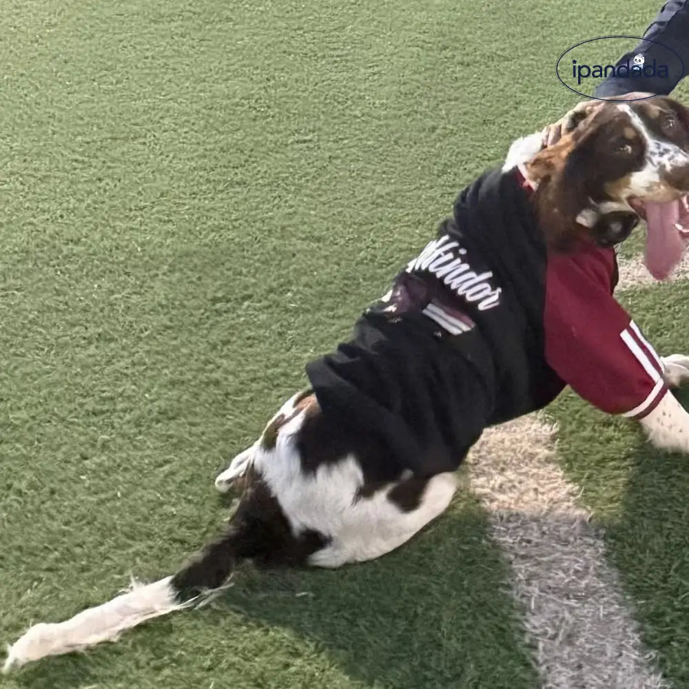 犬の服 秋冬 大型犬 保温 ゴールデンレトリバー ラブラドールレトリバー 厚手 冬用ウェア ID3936