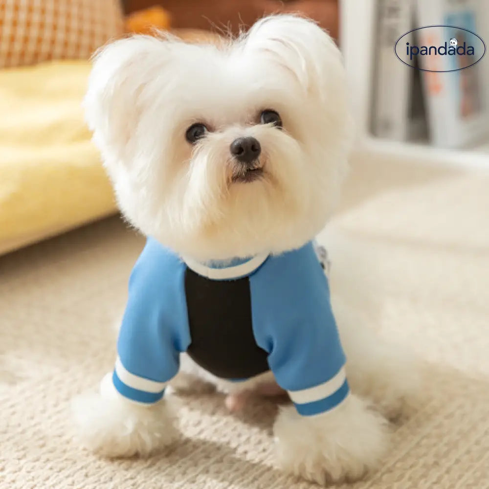 ID385 犬服 THE DOG FACE ドッグウェアリードリング付き かわいい おしゃれ 犬用 飼い主とペア ペアルック 小型犬 中型犬 男の子 女の子 おしゃれ ペット用品＞ウェア