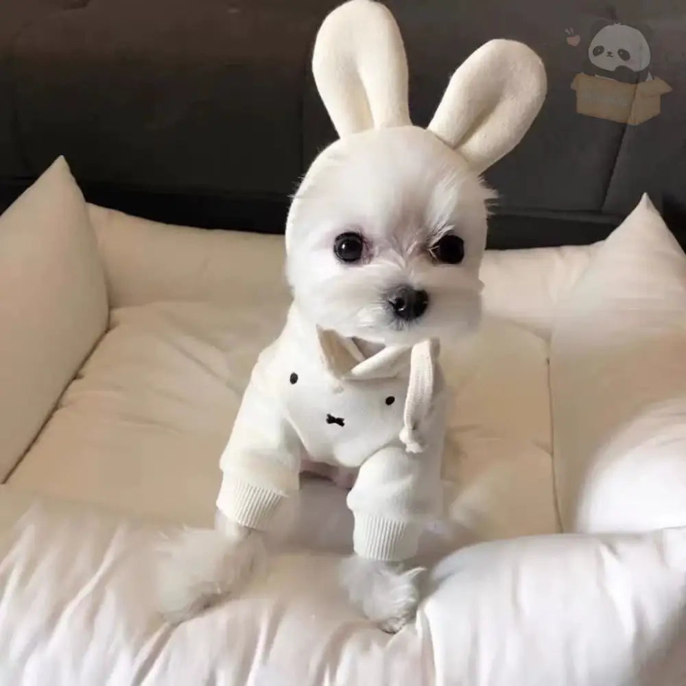 犬 服 ウサギ うさ耳 XS～XL 犬の服 犬服 着ぐるみ チワワ小型犬用 かわいい おしゃれ ドッグウェア ホワイト / XS ペット用品＞ウェア