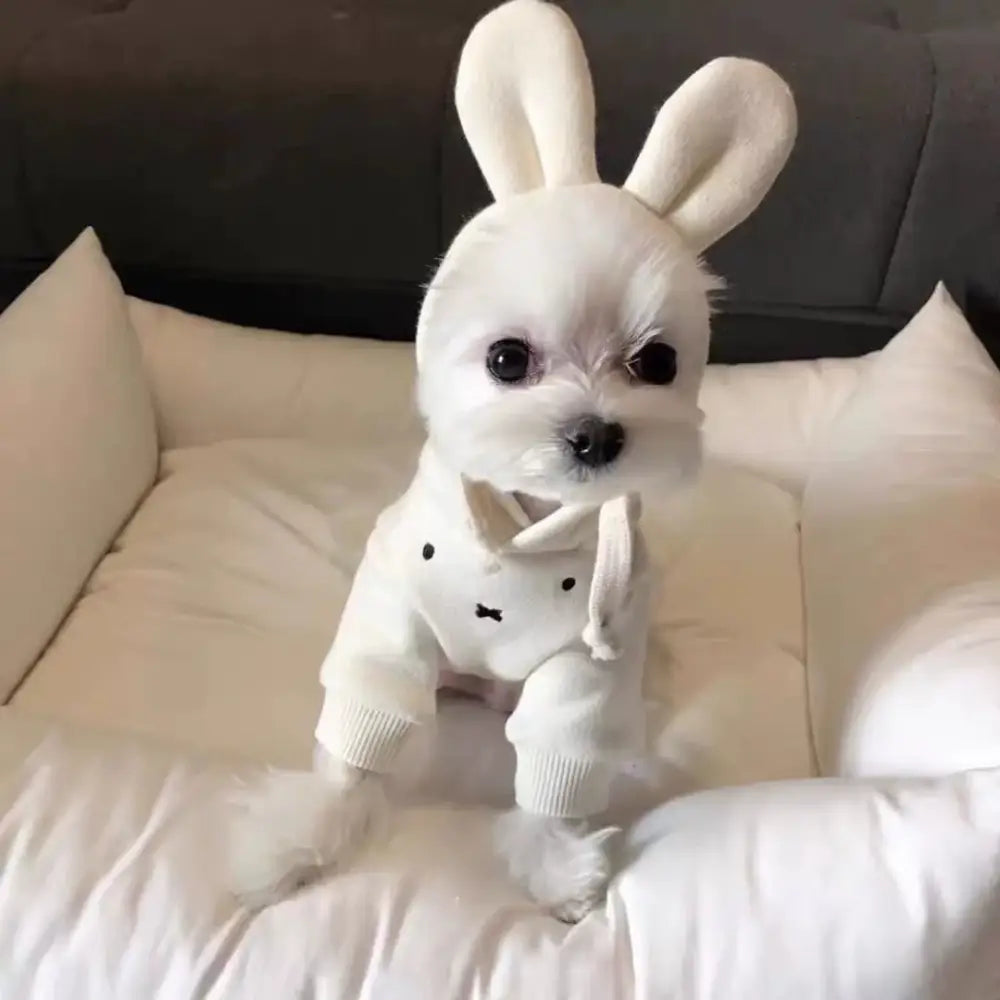 犬 服 ウサギ うさ耳 XS～XL 犬の服 犬服 着ぐるみ チワワ小型犬用 かわいい おしゃれ ドッグウェア ホワイト / XS ペット用品＞ウェア
