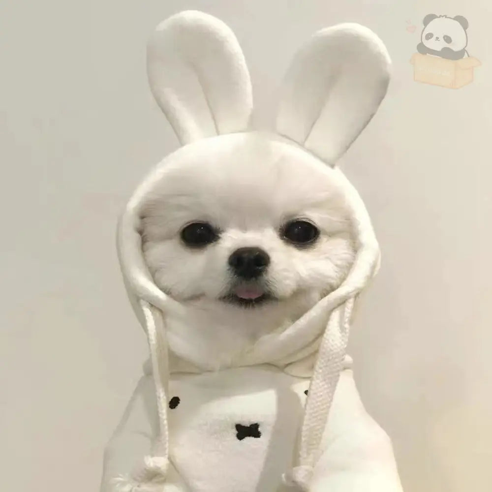 犬 服 ウサギ うさ耳 XS～XL 犬の服 犬服 着ぐるみ チワワ小型犬用 かわいい おしゃれ ドッグウェア ペット用品＞ウェア