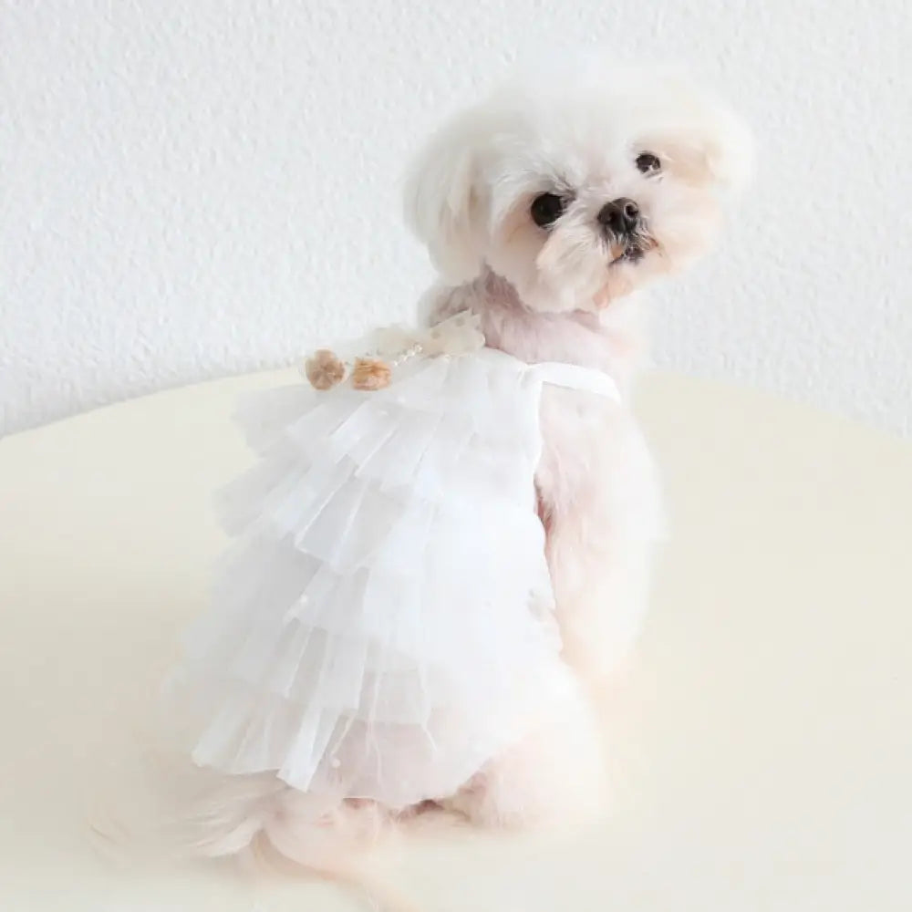 犬服 ワンピース ドレス 春 かわいい 春夏 涼しい 小型犬用 女の子 ペット服 お出かけ キャミワンピース プリンセス リングドッグ 可愛い ドッグウェア ペットウェア お散歩 犬 おしゃれ ホワイト