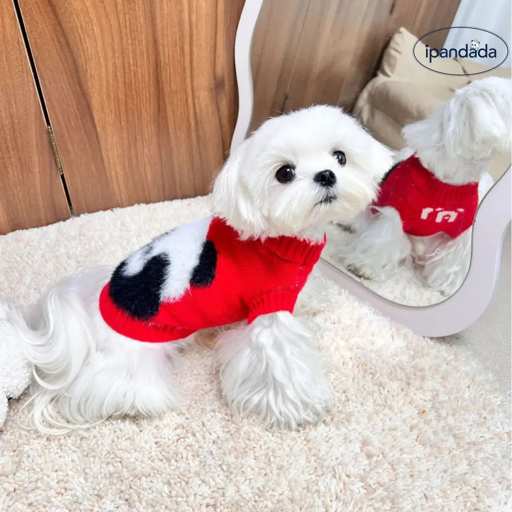 犬 秋冬 服装 ビション シュナウザー 猫 二足袖なし ニット 小型犬 ウェア ID2489