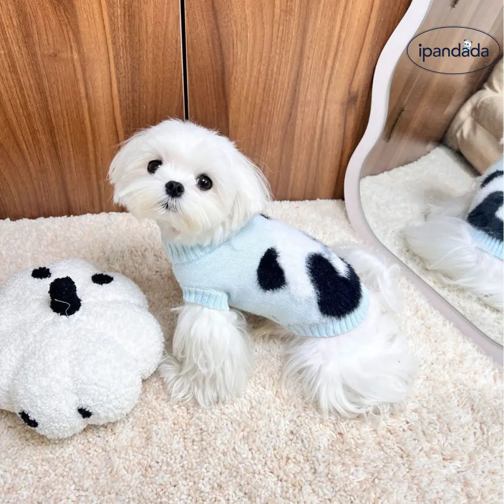 犬 秋冬 服装 ビション シュナウザー 猫 二足袖なし ニット 小型犬 ウェア ID2489