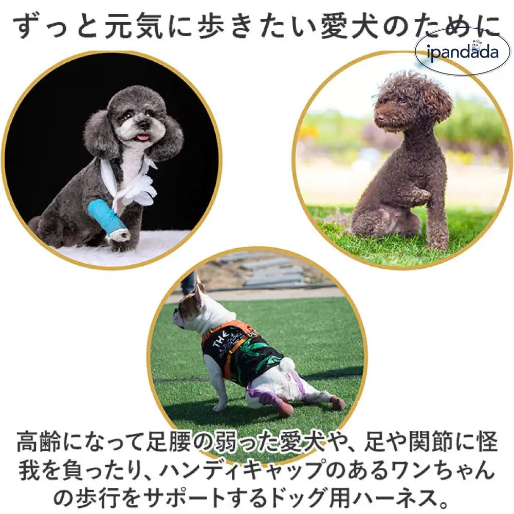 犬 ハーネス 介護用 定番 犬用ハーネス 歩行補助ハーネス 介護用ハーネス 歩行補助 全身サポート 歩行 前足 後ろ足 補助 ペット用 脱着簡単 柔らかい 通気性 反射材 介護 小型犬 中型犬 老犬 リハビリ 怪我 手術 快復中 病気 ID2219