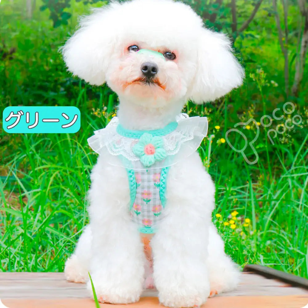 犬 ハーネス リード付き 簡単装着 軽量 小型犬 中型犬 かわいい おしゃれ 花柄 犬用 胴輪 負担が少ない 抜けない ダブルロック メッシュ お出かけ お散歩 ドッグウェア ID4554 グリーン / 2XS ペット用品＞ハーネス・リード