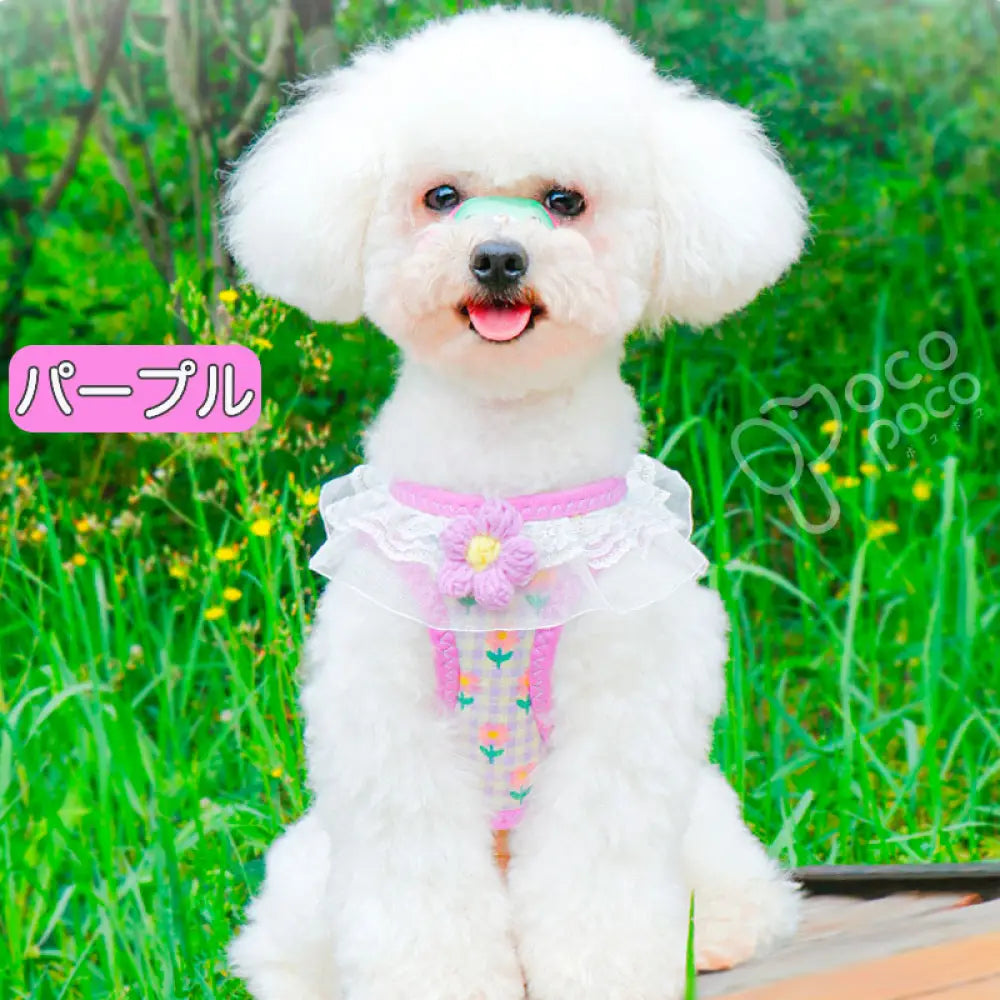 犬 ハーネス リード付き 簡単装着 軽量 小型犬 中型犬 かわいい おしゃれ 花柄 犬用 胴輪 負担が少ない 抜けない ダブルロック メッシュ お出かけ お散歩 ドッグウェア ID4554 パープル / 2XS ペット用品＞ハーネス・リード