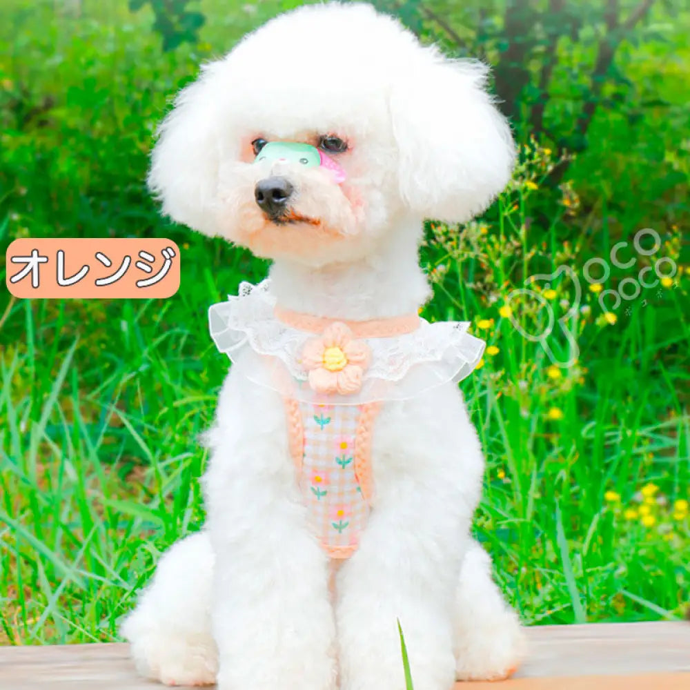 犬 ハーネス リード付き 簡単装着 軽量 小型犬 中型犬 かわいい おしゃれ 花柄 犬用 胴輪 負担が少ない 抜けない ダブルロック メッシュ お出かけ お散歩 ドッグウェア ID4554 オレンジ / 2XS ペット用品＞ハーネス・リード