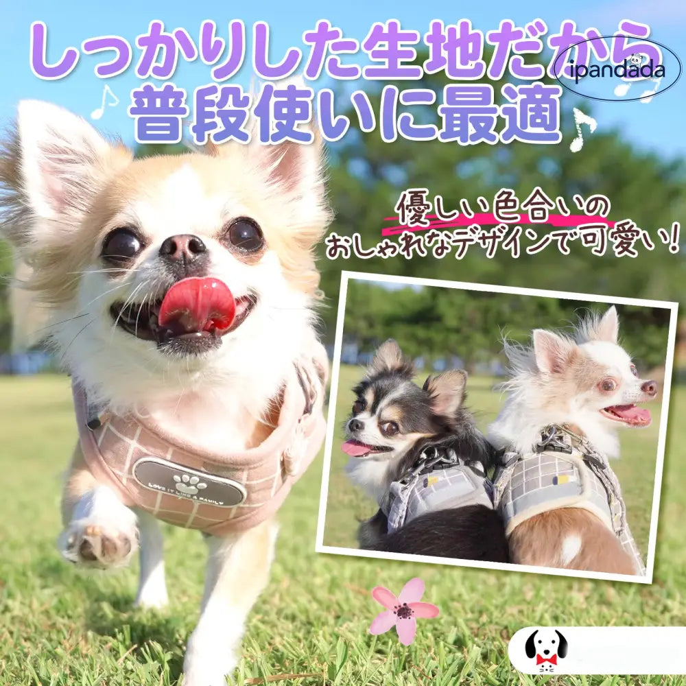 犬 ハーネス リード 小型犬 中型犬 猫 おしゃれ かわいい 脱げない メッシュ チワワ 胴輪 散歩 マジックテープ ベージュ ピンク グレー フィット 安全 キャット お洒落 はーねす おでかけ 子犬 子ネコ 成犬用 こねこ