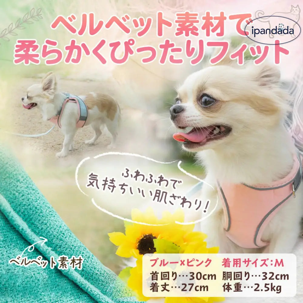 ID551 犬 ハーネス 小型犬 中型犬 大型犬 リード セット おしゃれ 猫 ソフトハーネス ウェアハーネス 胴輪 イヌ ネコ マジックテープ ペット リード付き キャット 抜けない キャット お洒落 はーねす 子犬 超小型犬 脱げない