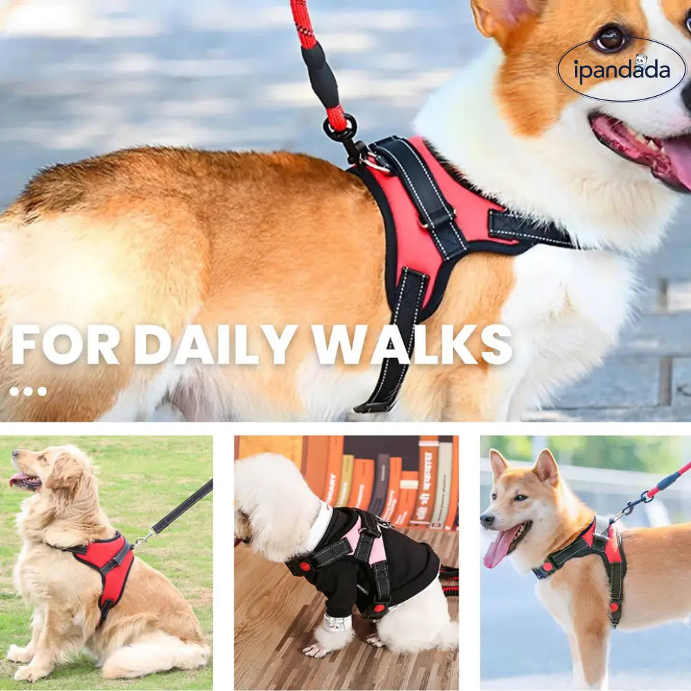 犬 ハーネス 小型犬 中型犬 パピー 子犬 かわいい おしゃれ 胴輪 抜けない 持ち手 頑丈 脱げない メッシュ ナイロン製 夜間反射 散歩 ペット用品＞ハーネス・リード