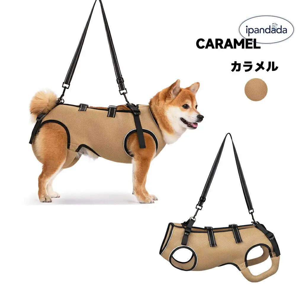 犬 介護 ハーネス 夏用 通気性 全身調整可能 犬用 介護ハーネス メッシュ 老犬 補助ハーネス 歩行補助 シニア犬 小~大型犬 手術後 リハビリ 介護用品 歩けない 蒸れにくい 胴輪 お出かけ 散歩用 補助ベルトID2216