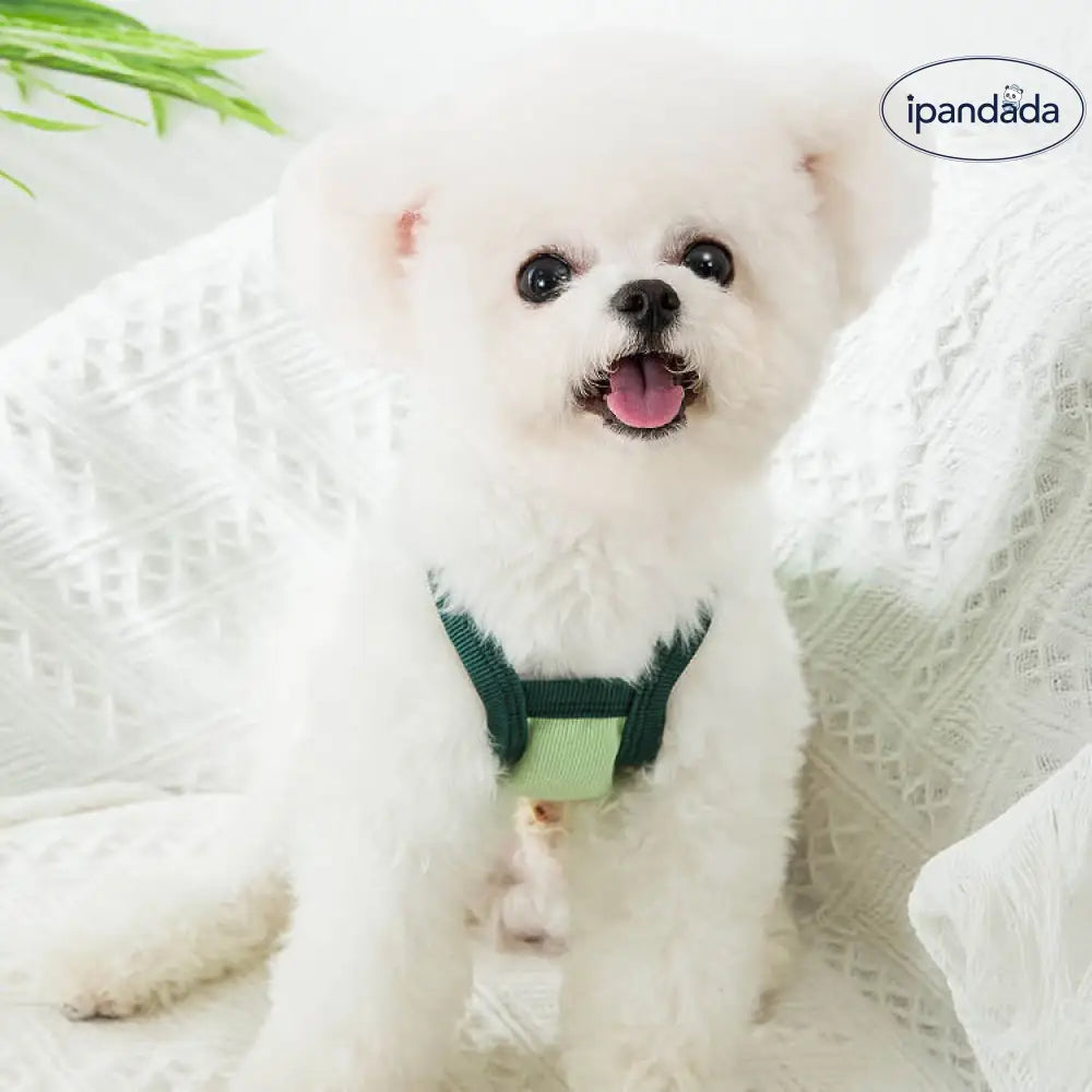 ID1175 犬猫服 夏用 アボカド柄 ノンスリップベスト トイプードル ビション 子犬 子猫 薄手 通気性 洗える XS～XXLサイズ ペット用品＞おもちゃ