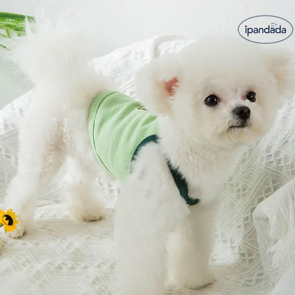 ID1175 犬猫服 夏用 アボカド柄 ノンスリップベスト トイプードル ビション 子犬 子猫 薄手 通気性 洗える XS～XXLサイズ ペット用品＞おもちゃ