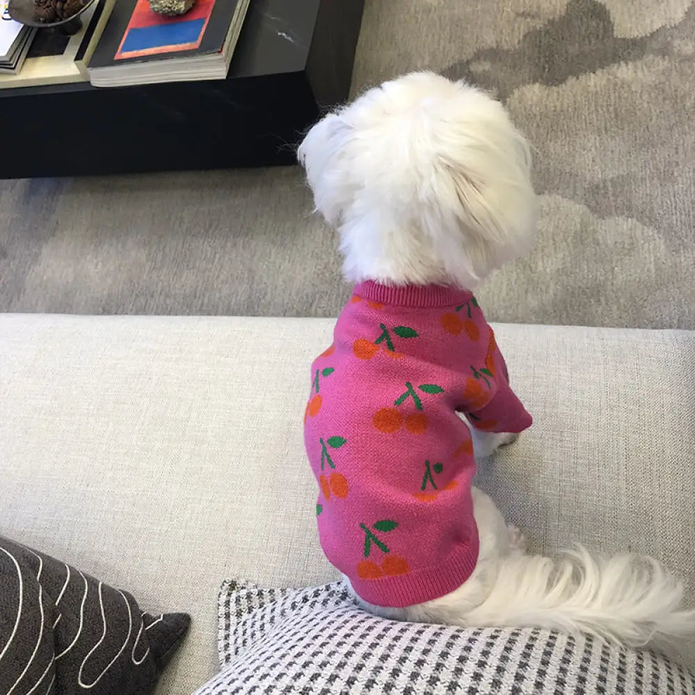 犬猫 秋冬 保温 小さなチェリー セーター ニット マルチーズ ポメラニアン シュナウザー セーター 猫用服 ID2847