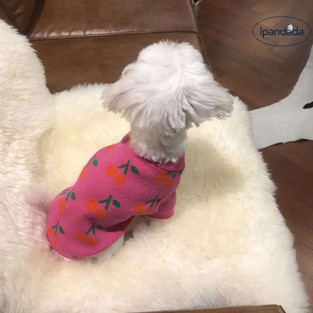 犬猫 秋冬 保温 小さなチェリー セーター ニット マルチーズ ポメラニアン シュナウザー セーター 猫用服 ID2847