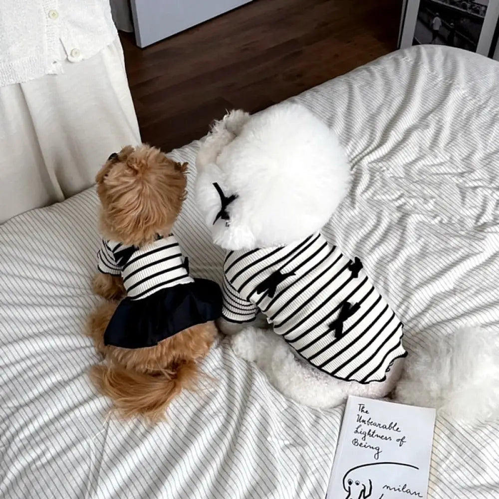 犬猫用 ストライプ カップルTシャツ ワンピース テディ ベビーフェイス ヨークシャーテリア ビションフリーゼ ペットウェア ID2299 ペット用品＞ウェア