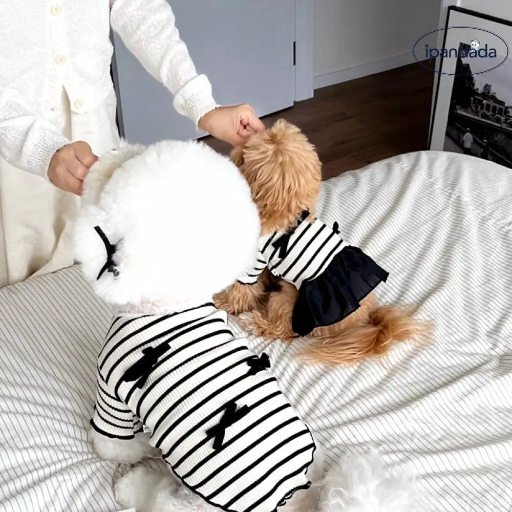 犬猫用 ストライプ カップルTシャツ ワンピース テディ ベビーフェイス ヨークシャーテリア ビションフリーゼ ペットウェア ID2299