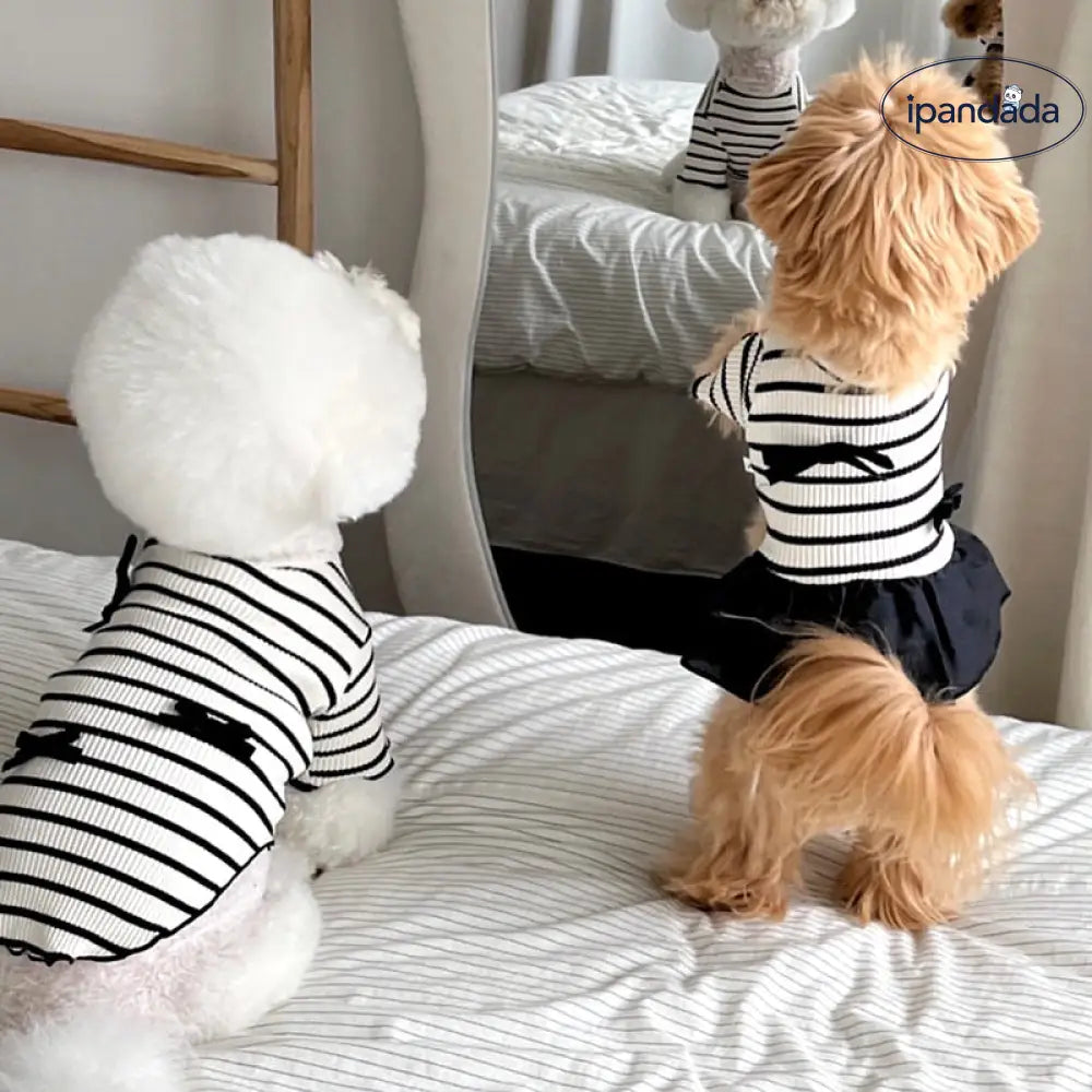 犬猫用 ストライプ カップルTシャツ ワンピース テディ ベビーフェイス ヨークシャーテリア ビションフリーゼ ペットウェア ID2299