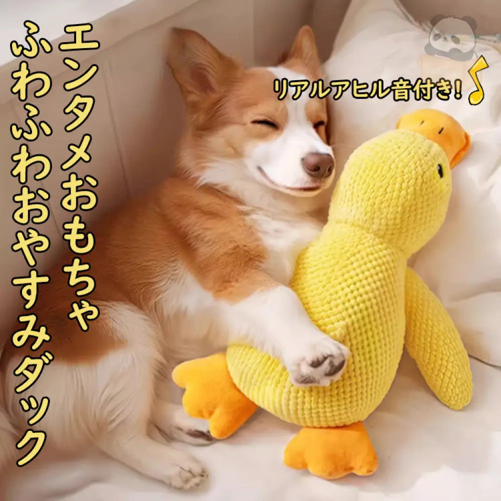 犬 おもちゃ アヒル 音が鳴る 音が出るぬいぐるみ ペット玩具 ストレス発散 ふわふわ 遊び 動物 柔らかい 噛む ペット ペットファン イエロー / 小型サイズ ペット用品＞おもちゃ