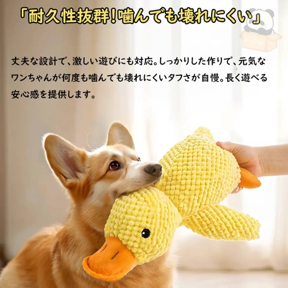 犬 おもちゃ アヒル 音が鳴る 音が出るぬいぐるみ ペット玩具 ストレス発散 ふわふわ 遊び 動物 柔らかい 噛む ペット ペットファン ペット用品＞おもちゃ