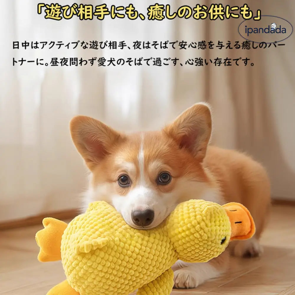 犬 おもちゃ アヒル 音が鳴る 音が出るぬいぐるみ ペット玩具 ストレス発散 ふわふわ 遊び 動物 柔らかい 噛む ペット ペットファン ペット用品＞おもちゃ