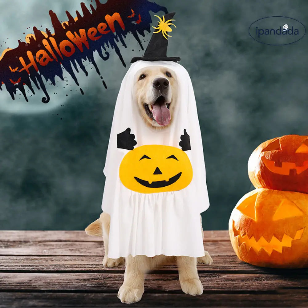 犬 おもしろ 衣装 セット クリエイティブ 南瓜 ゴースト ペット 変身 コスチューム ハロウィン 犬用衣装 ID2691