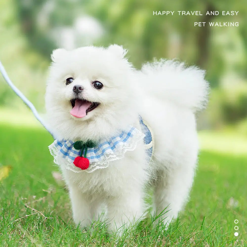 犬 牽引リード 可愛い ハーネス ネコ 散歩用 テディ 小型犬 リード ペット用品 120cm ID2764