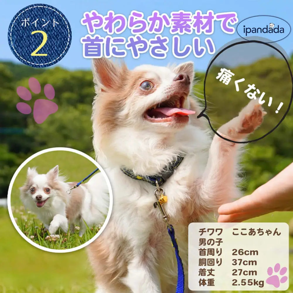 ID830 犬 首輪 細め 猫 おしゃれ 定番 スタンダード デニム ジーンズ 小型犬 中型犬 ドッグ 散歩 かわいい 鈴 かっこいい ワンポイント 人気 ペット用品＞ハーネス・リード