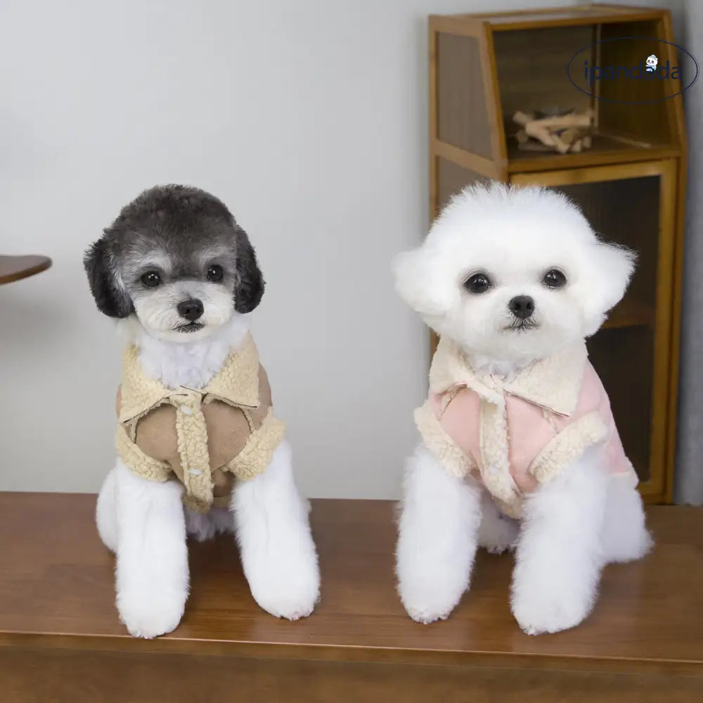 犬用 2脚服 秋冬用 加厚 保温 防寒 ペット 猫用 ビション フリーゼ テディ ベア シープスキン スエード コート ID2550