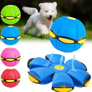 犬用 変形ボール＆フリスビー 足踏みライト付き フライングディスクボール 転がるボール 自動遊び＆ストレス解消おもちゃ ペット用品＞おもちゃ