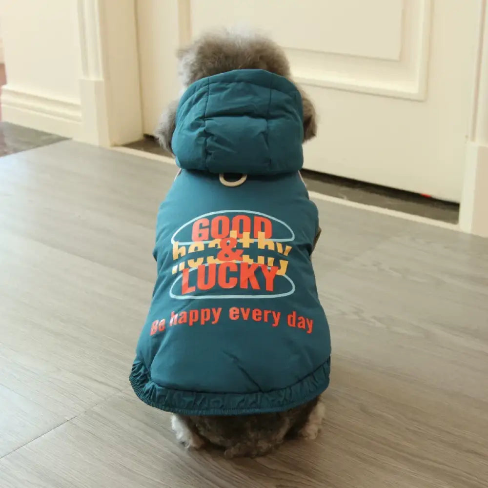 犬用 冬 保温 アメリカン 厚手 小型犬用 中型犬用 ダウンジャケット ビションフリーゼ テディベア ペット服 秋冬用 ID3784 ダークブルー / S