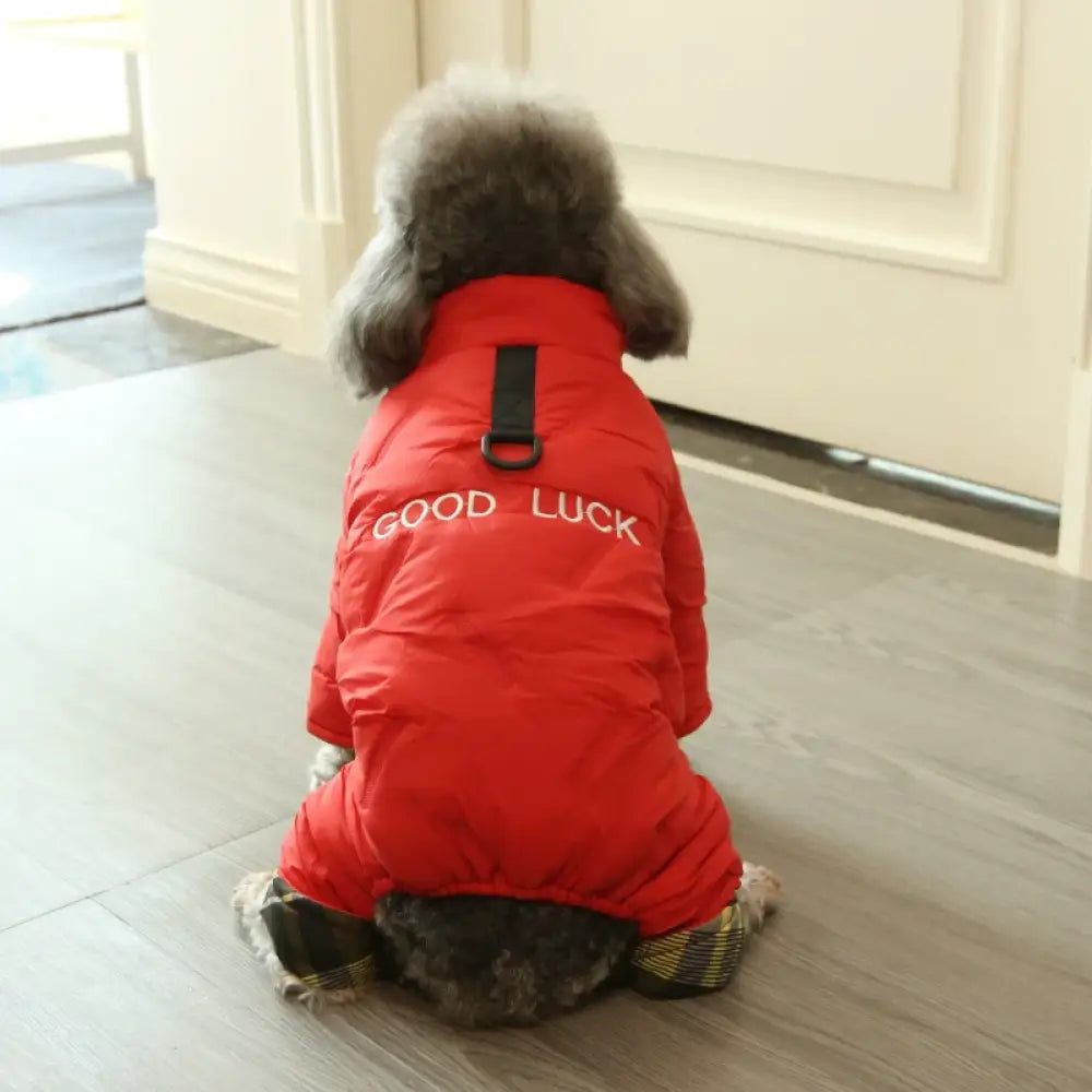 犬用 冬服 保温 コットン ジャケット アルファベット プリント ビション フリーゼ テディ ベア 小型犬 秋冬 ペットウェア ID3213 レッド / S